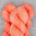 Pashmina (SP)